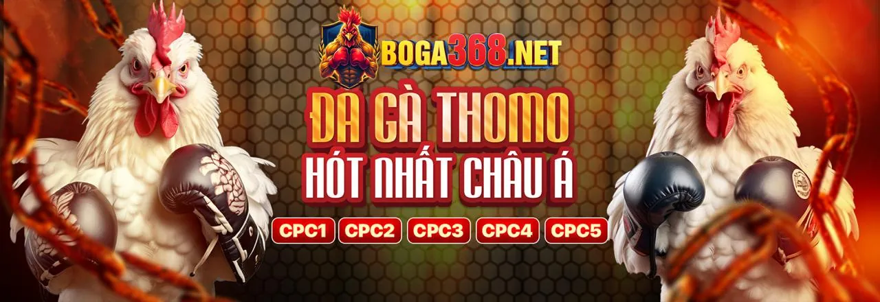 Đá Gà Trực Tuyến i9bet win