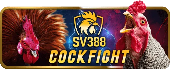 Câu hỏi thường gặp về i9bet win